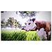 XONE - Real Farm Sim - Foto miniatura 4