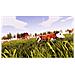 XONE - Real Farm Sim - Foto miniatura 8