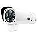 In-9008 Full Hd Poe White Lan Ip Videocamera Di Sorveglianza 1920 X 1080 Pixel - Foto miniatura 1