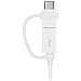 EP-DG930, 2.0/3.0 (3.1 Gen 1) , USB A, Micro-USB B / USB C, Maschio / maschio, Dritto, Dritto - Foto miniatura 6