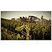 XONE - Pure Farming 2018 - Foto miniatura 3