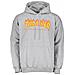 Felpa Con Cappuccio Flame Logo Grigio (m, Grigio) - Foto miniatura 1