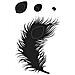 Fustella Di Taglio 12 X 9 Cm - Piuma Di Pavone - Foto miniatura 4