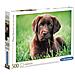 Puzzle da 500 pezzi - High Quality Collection: Chocolate Puppy 35072 - Foto miniatura 1