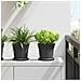 Vaso Rotondo per Fiori 24 pcs Nero Ø 17 x 14 cm Plastica - Foto miniatura 2