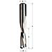 Fresa Elicoidale Z2 Neg. Hwm S=8 D=10x32x80 Dx 192.800.11 - Foto miniatura 1