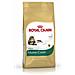 Maine Coon 31 Secco Gatto Kg 10 Mangimi Secchi Per Gatti - Foto miniatura 1
