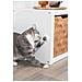 42242 giocattolo per cani e gatti - Foto miniatura 3