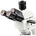 Mikroscopio Metallurgico Trinoculare Eris Pro Mmep-t-t&r - Alta Qualità Immagine, Oculare Wf10x / 20mm, Obiettivi Planari, Illuminazione Led, Analisi Materiali - Foto miniatura 2