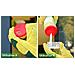 Expert Protect Fourpoud400 Polvere E Irrigazione, 400 G - Foto miniatura 2