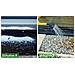 Expert Protect Fourpoud400 Polvere E Irrigazione, 400 G - Foto miniatura 4