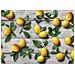 Tappeto Cucina Antiscivolo Stampa Digitale Linea Emozioni Fantasie Sapori 58x115 Limoni - Foto miniatura 4