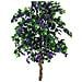 Bouganville, Lavanda, 180cm - Foto miniatura 1