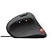 Mouse GXT 144 Rexx Ottico 6 Tasti 10000 DPI Colore Nero - Foto miniatura 5