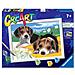 Creart Jack Russel Serie D Tv - Foto miniatura 1