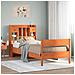 Letto Libreria senza Materasso Marrone Cera 100x200 cm in Pino - Foto miniatura 2