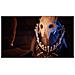 XONE - Dreamfall Chapters - Foto miniatura 5