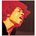 Jimi Hendrix - Electric Ladyland (2 Lp)  - Foto miniatura 1
