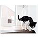 Lettiera Per Gatti A Scatola Dome Bianca - Foto miniatura 7