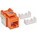 IWP-MD C6 / OR - Frutto Keystone RJ45 Cat. 6 UTP non schermato Arancio - Foto miniatura 2