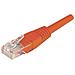 Cavo patch RJ45 UTP Cat6, 3 m, rosso - Foto miniatura 1
