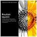 TONER NERO B410/B415 STD CAPACITY - Foto miniatura 7