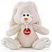 Peluche Coniglio Virgilio 24 cm 13700 - Foto miniatura 2