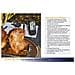 TFA Dostmann Küchen-Chef Twin - Termometro Radio per griglia, con Due sonde e Diversi Funzioni, plastica, Nero, Plastica, Nero, 6 x 3 x 14 cm - Foto miniatura 10