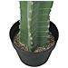 Mexican Cactus, Artificial Plant, Green, 97cm - Foto miniatura 3