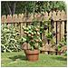 Supporti Piante Da Giardino Con 3 Anelli 5pz Verde 60cm Acciaio - Foto miniatura 1