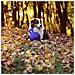 Palla Tug-n-toss Giocattolo Per Cani 15 Cm Blu - Foto miniatura 3