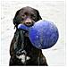 Palla Tug-n-toss Giocattolo Per Cani 15 Cm Blu - Foto miniatura 6