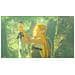 The Legend of Zelda: Breath of the Wild - Switch 2 Edition (Switch 2) Edizione Switch 2 Multilingua Switch 2 - Foto miniatura 5