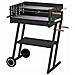 Barbecue a Legna Struttura in Acciaio con Ripiano Portaoggetti - Foto miniatura 2