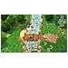 PS4 - Secret of Mana - Foto miniatura 6