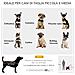Passeggino Per Cani Taglia Piccola E Mini Con 2 Guinzagli E Custodia Portaoggetti, 81x58x97.5 Cm - Foto miniatura 3