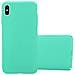 Custodia Compatibile Con Apple Iphone Xs Max In Frosty Verde - Hard Case Coperchio Protettivo In Frosted Look Contro I Graffi E Gli Urti - Foto miniatura 1