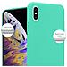 Custodia Compatibile Con Apple Iphone Xs Max In Frosty Verde - Hard Case Coperchio Protettivo In Frosted Look Contro I Graffi E Gli Urti - Foto miniatura 5