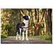 Imbracatura Per Cani 84-119 Cm Rosso Xl - Foto miniatura 2