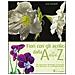 Lexi Sundell - Fiori con gli acrilici dalla A alla Z. Ediz. illustrata - Foto miniatura 1
