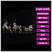 Renne LED con 60 LED 3 pcs Bianco caldo PET - Foto miniatura 6