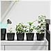Vaso per Fiori 100 pcs Nero Ø 15 x 12.5 cm Plastica - Foto miniatura 2