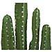 Mexican Cactus, Artificial Plant, Green, 123cm - Foto miniatura 2