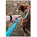 Guinzaglio Per Cani Rosso - Foto miniatura 6