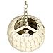 Lampadario Maskeliya Guscio Di Cocco Beige - Foto miniatura 4