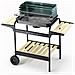 Barbecue 60-40 Green / W Altezza 90 cm dimensioni del braciere 58 x 38 cm Peso 8.5 Kg - Foto miniatura 1