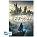 Harry Potter Poster Hogwarts Legacy Key Art 91,5 X 61 Cm - Gb Eye - Foto miniatura 1