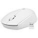 STORK mouse Casa Ambidestro RF Wireless + USB Type-A Ottico 1600 DPI - Foto miniatura 2