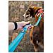 Guinzaglio Per Cani Arancio - Foto miniatura 6