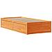 Giroletto senza Materasso Marrone Cera 100x200 cm Legno di Pino - Foto miniatura 5